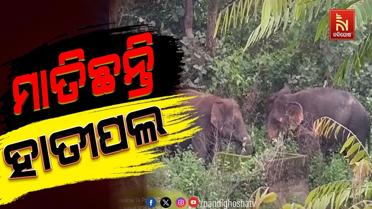 କଣ୍ଟାବାଞ୍ଜି ମୁରିବାହାଲ ବ୍ଲକ ହଳଦୀ ଗାଁ ପାଖରେ ୧୬ ଟିକିଆ ହ