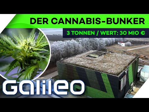 Deutschlands größtes Marihuana-Lager: 30 Mio. € & bombensicher
