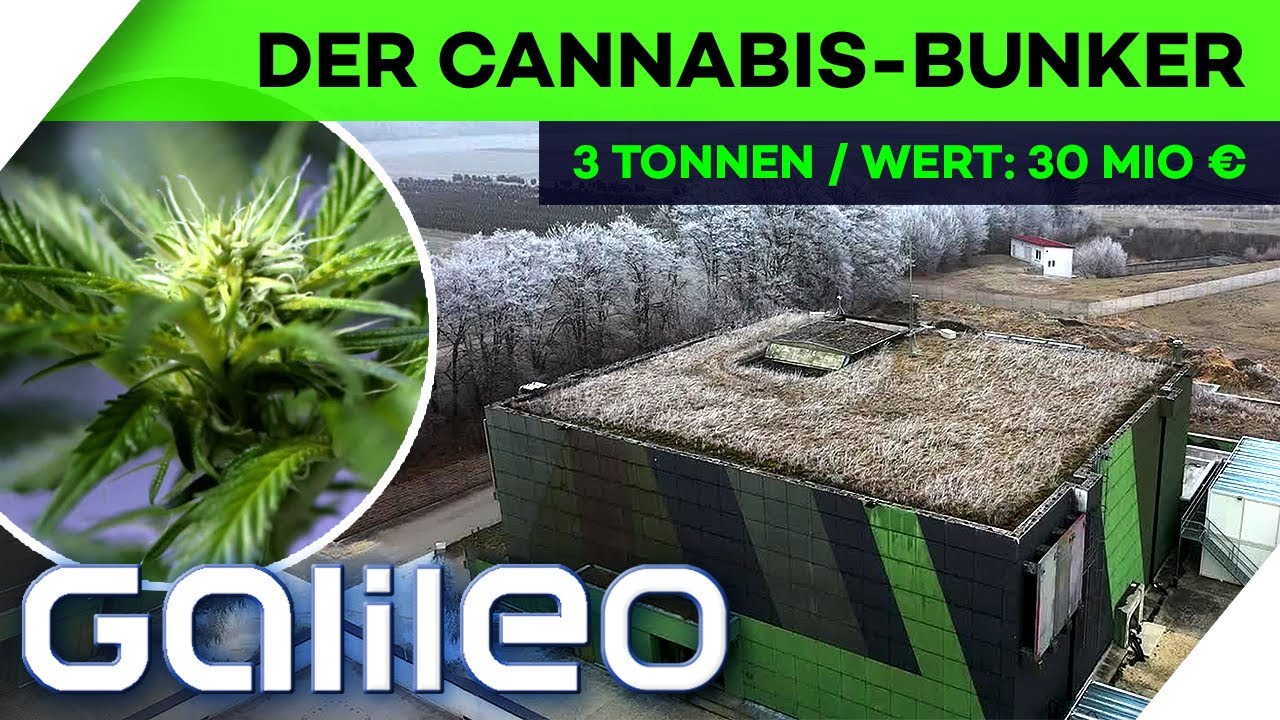 Deutschlands größtes Marihuana-Lager: Atombombenfest und 30 Mio € schwer! | Galileo | ProSieben