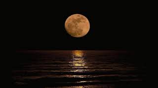Chris Isaak - Life Will Go On (Subt. En Español)