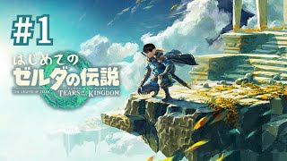 【＃１】はじめてのゼルダの伝説ティアーズオブザキングダム