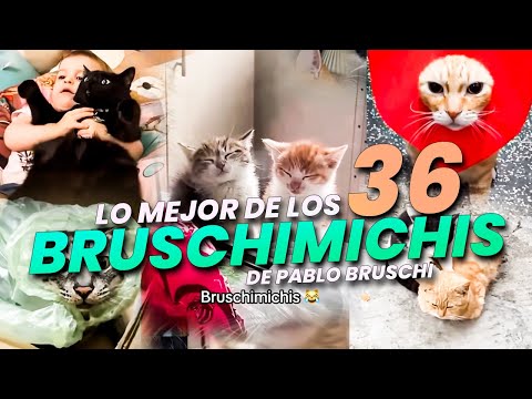 THE BEST OF THE BRUSCHIMICHIS 36 - PABLO BRUSCHI