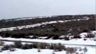 iPhone Mic/Cam LQ: AN ELK MOMENT, EXCITED ABOUT THE SEASON 3 LAUNCH