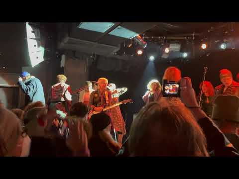 Bush tetras "too many creeps" @lpr 11/13/2021