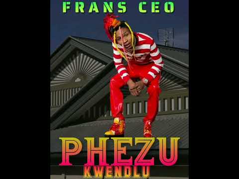 Frans CEO - PhezuKwendlu