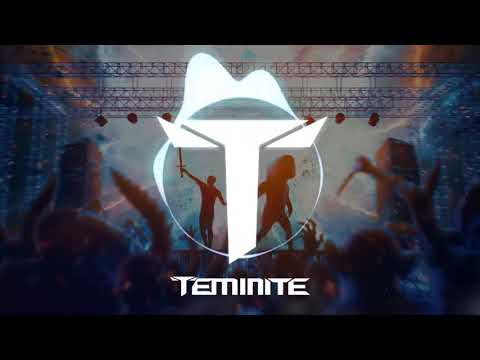 Teminite & Whales - Mayhem
