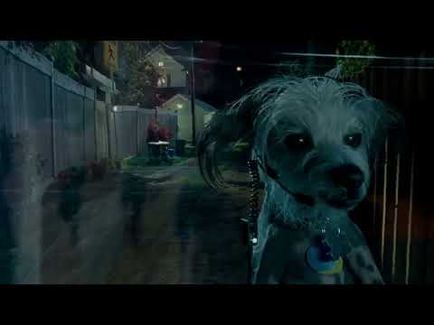 Cats & Dogs (2001) - “Hey Sam.”