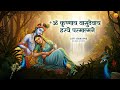 Om Krishnaya Vasudevaya Haraye Paramatmane Lofi Version ॐ कृष्णाय वासुदे