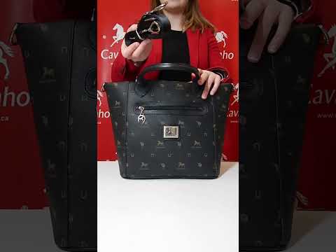 Demonstrative Video for Style #0326