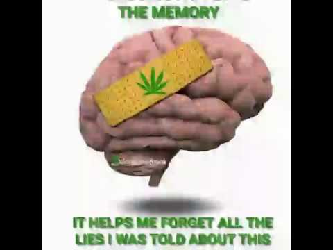 Funny Weed Gif