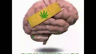 Weed GIF 1
