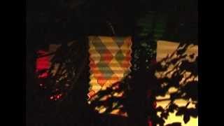 La féérie de "Jardin en fête" - TLSV Luçon - www.tlsv.fr