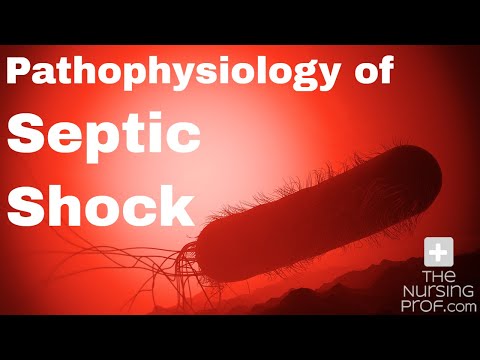 Pathophysiology of Septic Shock