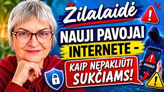 Nauji pavojai internete: kaip nepakliūti sukčiams - ŽilaLaidė