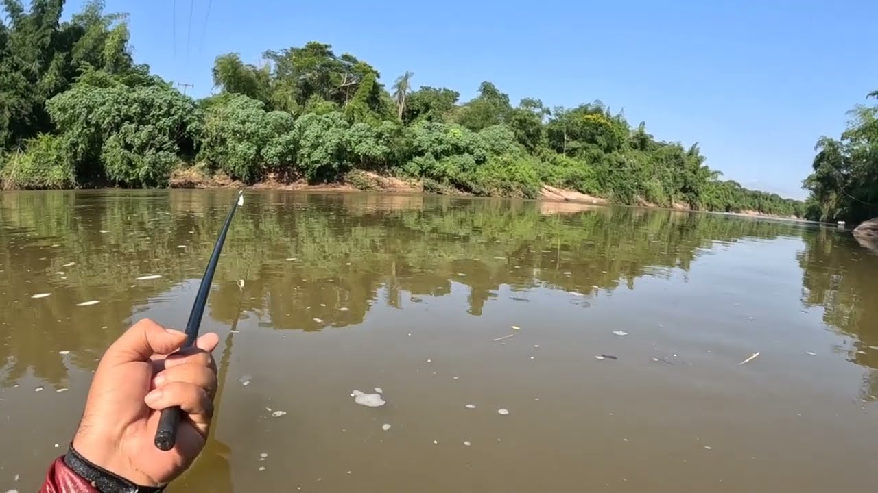 olha como foi essa pescaria#peixe #informação