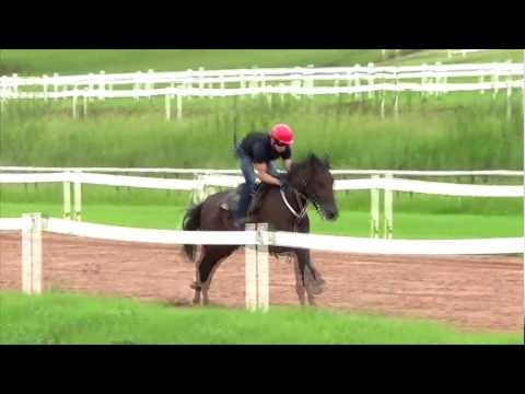 2013-01-04 Snappy Lad trackwork