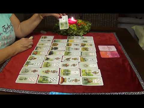 Monatsorakel November 2020