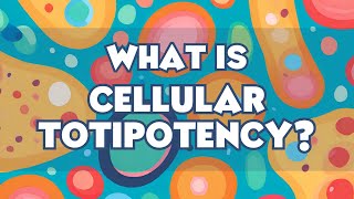 WHAT is CELLULAR TOTIPOTENCY? SCIENCE SAMHITA