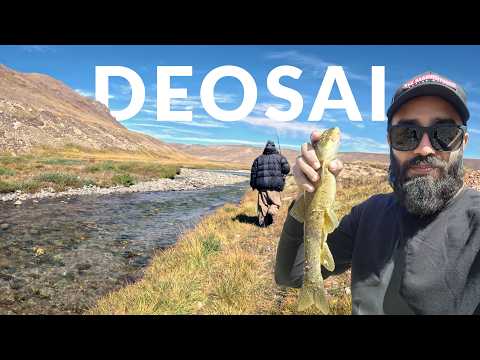 Fishing Himalayan Trout In DEOSAI National Park | Nature's Paradise Ep.10