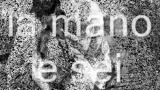 MODà Timida con testo