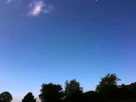 Little monkey with a Little Devil