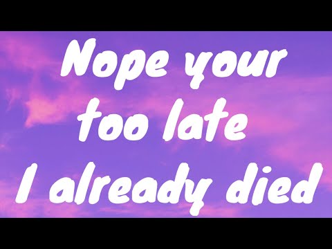 wifiskeleton - nope your too late i already died (Lyrics)