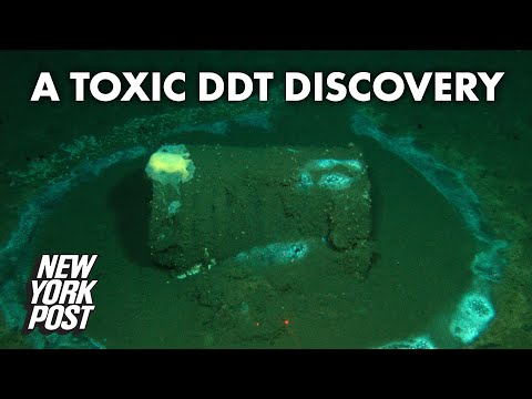Tens of thousands of toxic DDT barrels found dumped in ocean | New York Post