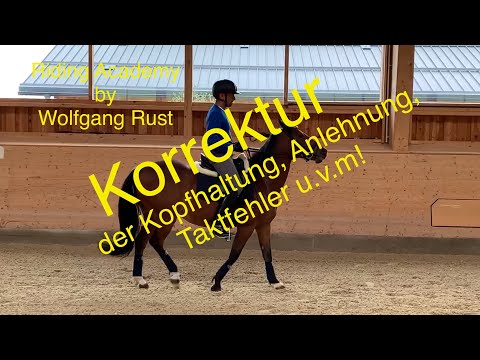 Q30 Help, I can't ride my pony on the reins! Correcting contact and rhythm errors!