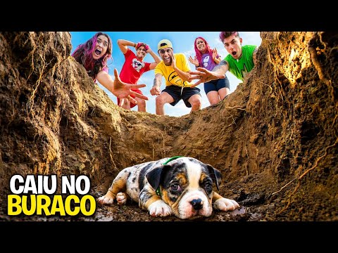 O CACHORRINHO DO VOID CAIU NO BURACO *Ele sobreviveu ?
