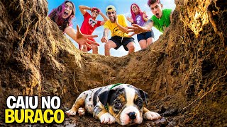 O CACHORRINHO DO VOID CAIU NO BURACO *Ele sobreviveu ?