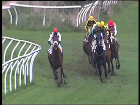 Galoppo 09/03/2016 - 2° corsa