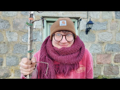 The Smallest Orchard In Scotland?!