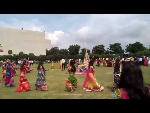 Malwa Institute of Science and Technology Indore General video thumbnail 4