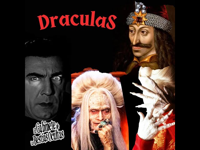 Vídeo relacionado con Shop-UP! Calcetines del Conde Drácula, el vampiro, película de terror unisex, Negro , M
