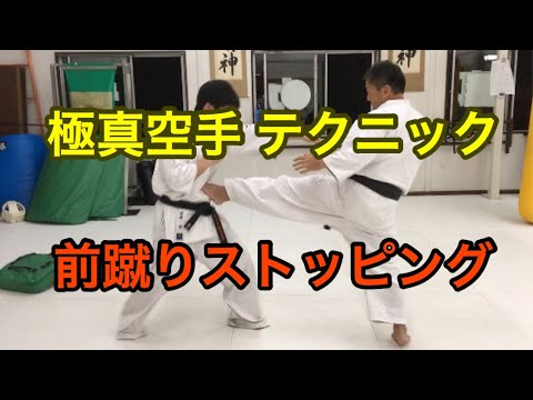 極真空手テクニック 前蹴りストッピング つくば 古河 空手道 武道 指導 鴨志田裕寿