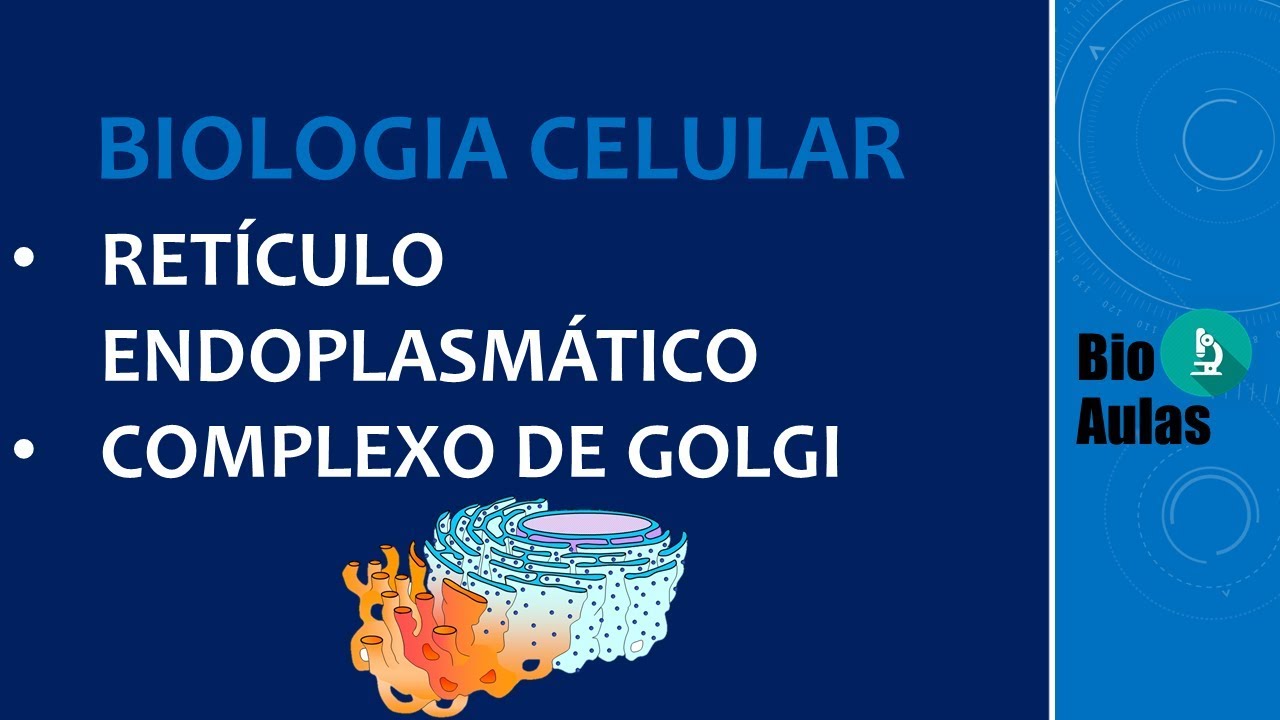 Retículo Endoplasmático e Complexo de Golgi: Organelas Citoplasmáticas - Citologia/Biologia Celular