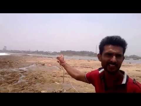 Panadar Beach Reporting By Dipak Barad Cameraman Digvijay Barad ;)