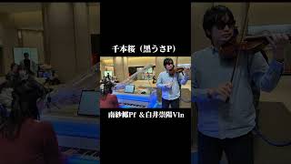 Download lagu 千本桜（黒うさP）／南紗椰Pf ＆白井崇陽Vln GMO LIVE from GMOインターネットTOWER mp3