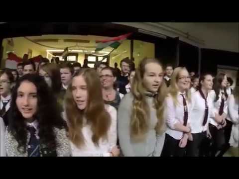 Avanti ragazzi di Buda cantata dai ragazzi di un liceo ungherese