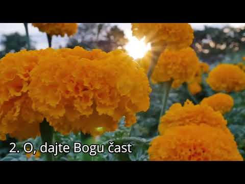 2. O, dajte Bogu čast