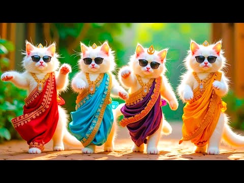 बिल्ली डांस | Cutest Cat videos funny dance🤣💃Dance Videos for cats #funny #dancingcat #cat #cute