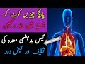 Badhazmi Aur Qabz Ka Ilaj Badhazmi Gas Aur Maday Ki Jalan Ka Ilaj Kaise Kiya Jaye Gas Pain