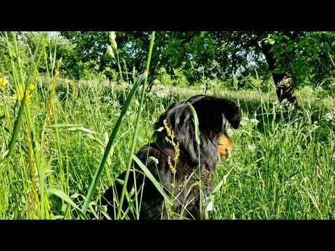 Unterwegs in Ruppertshain