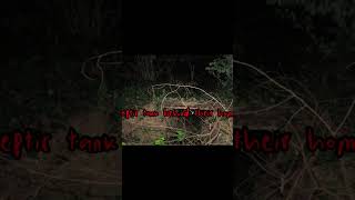 Download lagu Abandoned Jalan Turi Bungalow in Bangsar Malaysia😱😱 #mystery mp3 Download lagu Abandoned Jalan Turi Bungalow in Bangsar Malaysia😱😱 #mystery mp3