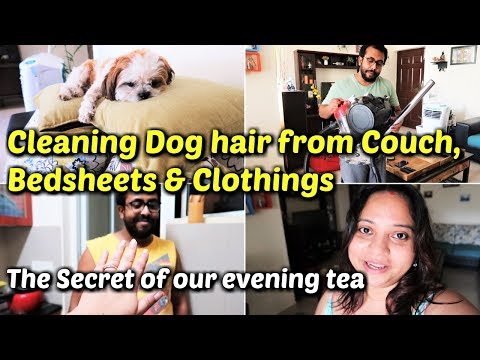 Pet hair removal from furniture| The secret of our evening tea| Full day Vlog