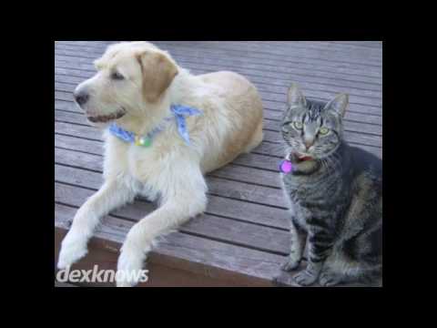 Humane Society For Tacoma Pierce County 2608 S Center Street