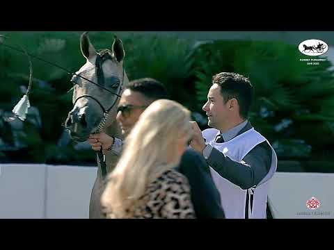 N 104 MH SOGHAH   Kuwait Purebred Arabian Horses Show 2022   Fillies 2 Years Old Class 2B