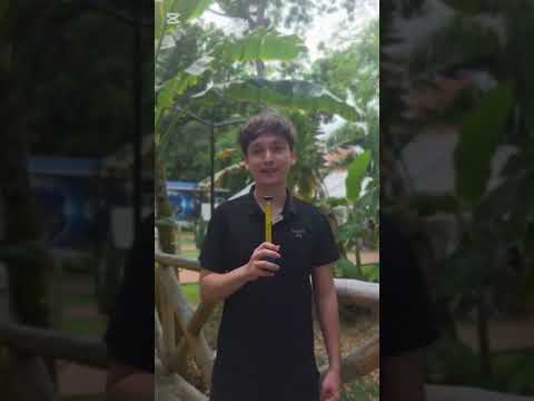 CARTOGRAFÍAS DEL HÁBITAT PATRIMONIAL: EL CARMEN