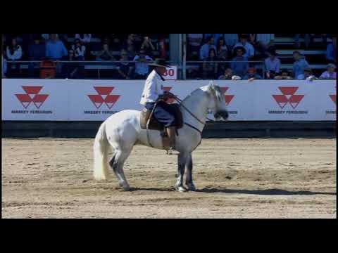 Aberta de Esteio (RS) - 8º lugar machos - Esteio JB de Palermo (Prova: Bayard/Sarmento)