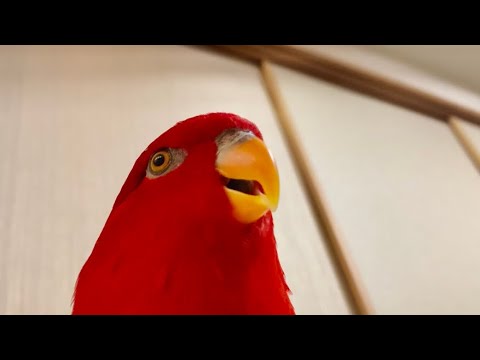 In front of the legendary sliding doors